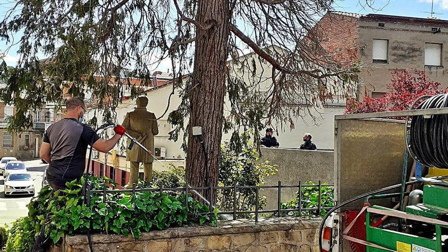 Arbre del monument a Anselm Clavé a Sant Vicenç