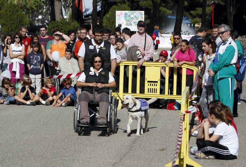 Fotogalería: Fiesta por la integración de la Fundación DFA