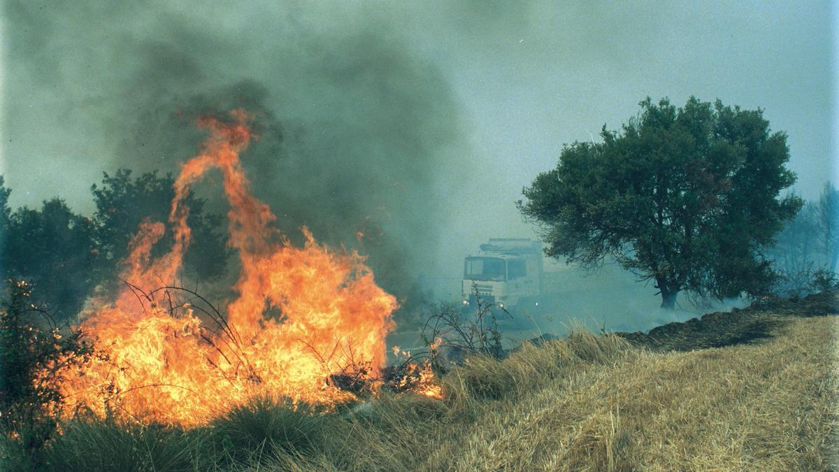 Una de les imatges de l'incendi del 94, que va afectar part del Bages i el Berguedà