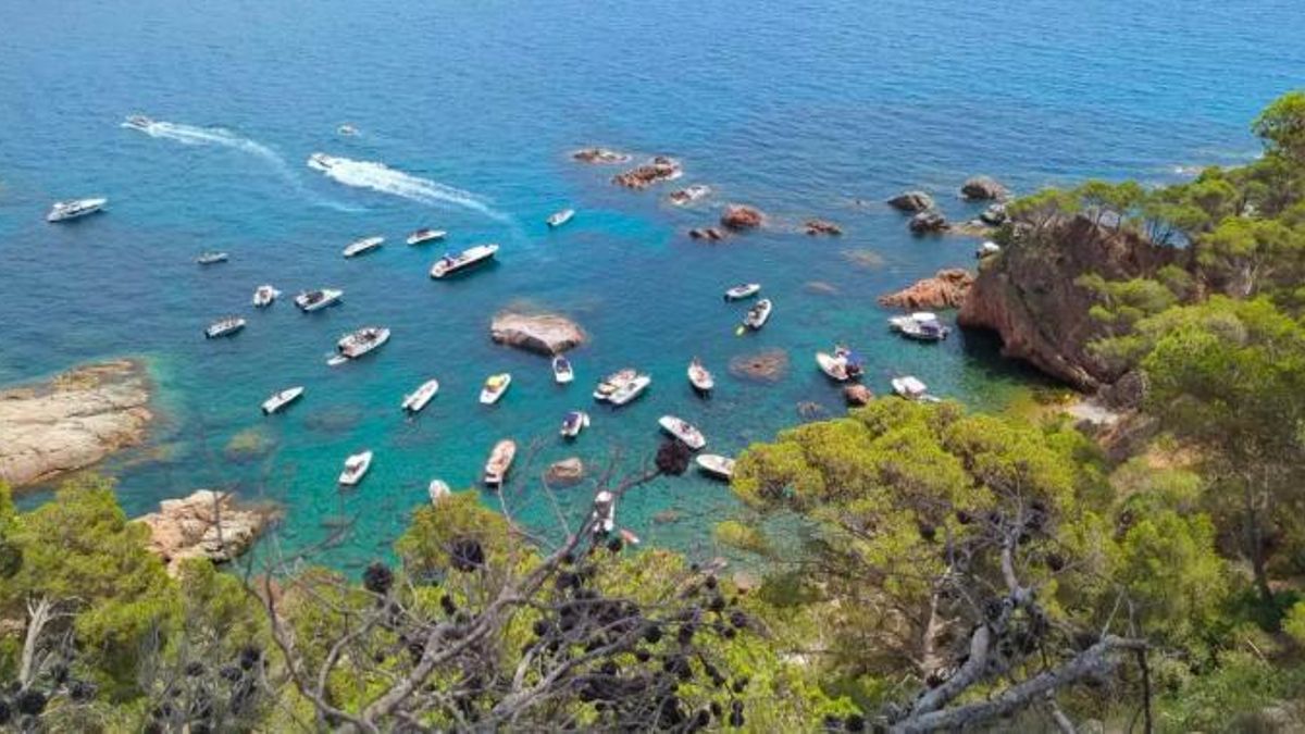 La cala del Vedell, plena d'embarcacions, després que robessin les boies.
