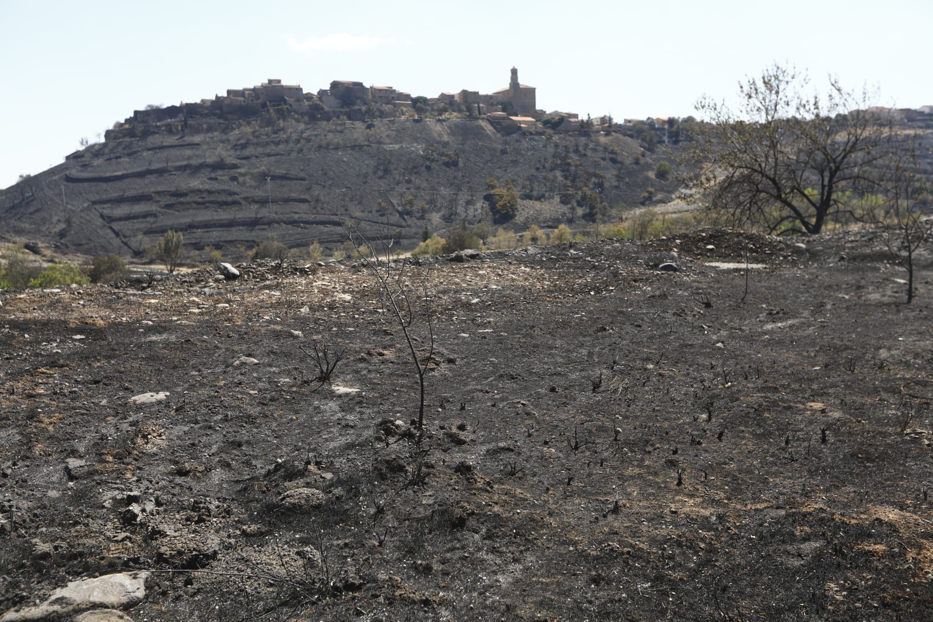 GALERÍA DE FOTOS | Lo ocurrido hoy lunes 15 de agosto en el incendio del Moncayo