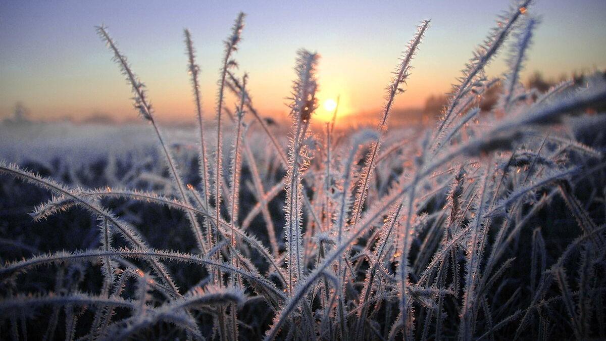 Imagen de una helada en Oza dos Ríos, en A Coruña, durante un temporal de frío pasado