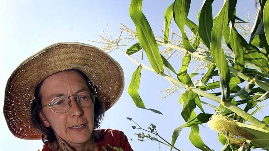 La agricultora ecológica María Luisa Eicke, una alemana que dejó la música para instalarse, hace dieciocho años, en una finca de Llubí (Mallorca) y cultivar verduras ecológicas en consonancia con los astros, durante una entrevista concedida a la agencia Efe. EFE/Nicolás Hernández