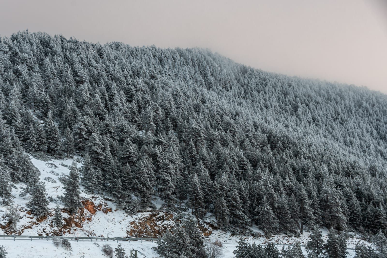 Paisatges nevats als Rassos de Peguera (17 de gener)