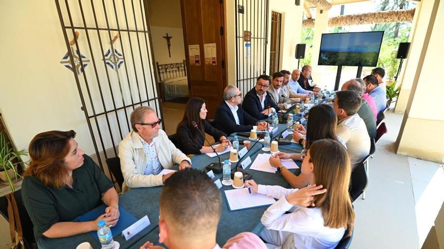 so y Gestión del Palmeral de Elche: de las restricciones de aparcamiento al cultivo de tagetes o granados