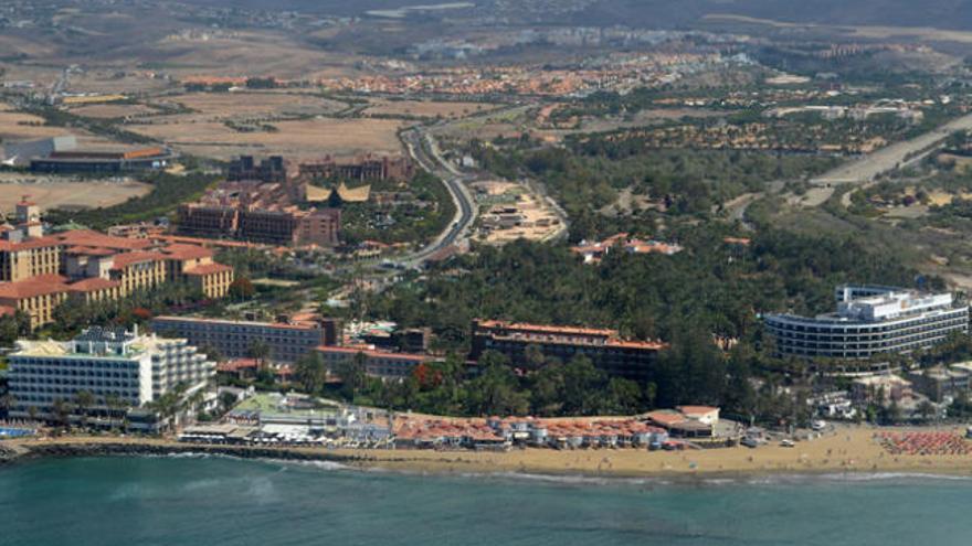 Vista general de la zona del oasis y el palmeral de Maspalomas. | la provincia/dlp