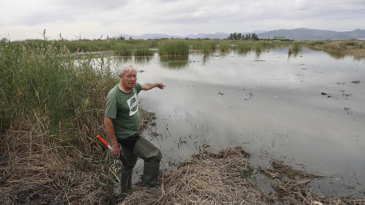 Un hogar para la biodiversidad en el marjal norte de Sagunt