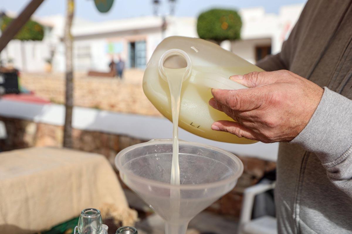 JPEG/260103DIB_Toni Escob (229320784)