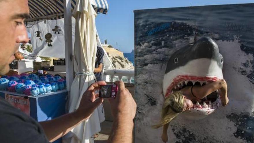 Los tiburones se convierten en protagonistas en la costa de Benidorm.