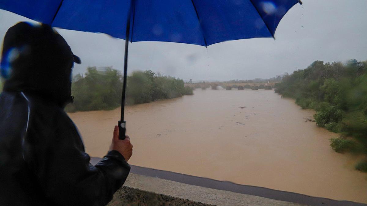 El Guadalquivir vuelve a subir en Córdoba y regresa al umbral amarillo