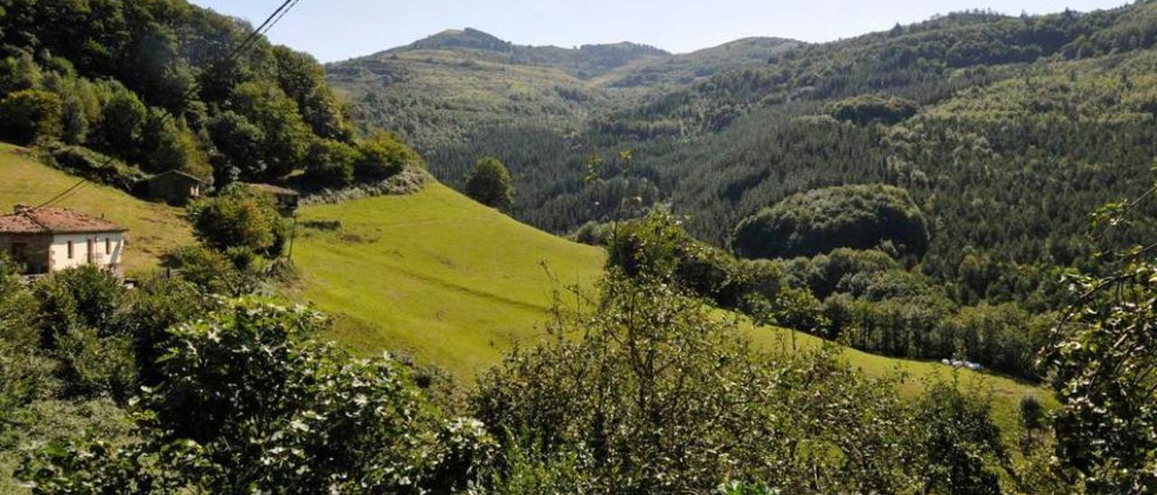 El entorno del monte Polio, en el concejo de Mieres.