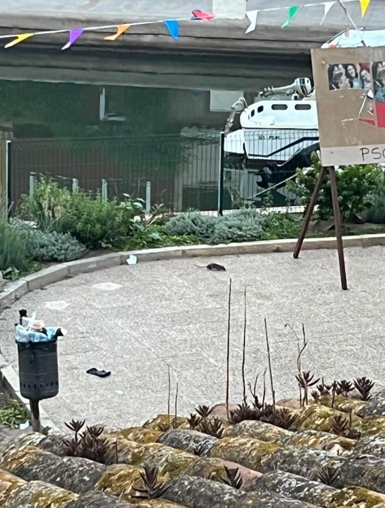 Los vecinos de Port Saplaya se quejan de la presencia de ratas por la acumulación de basura