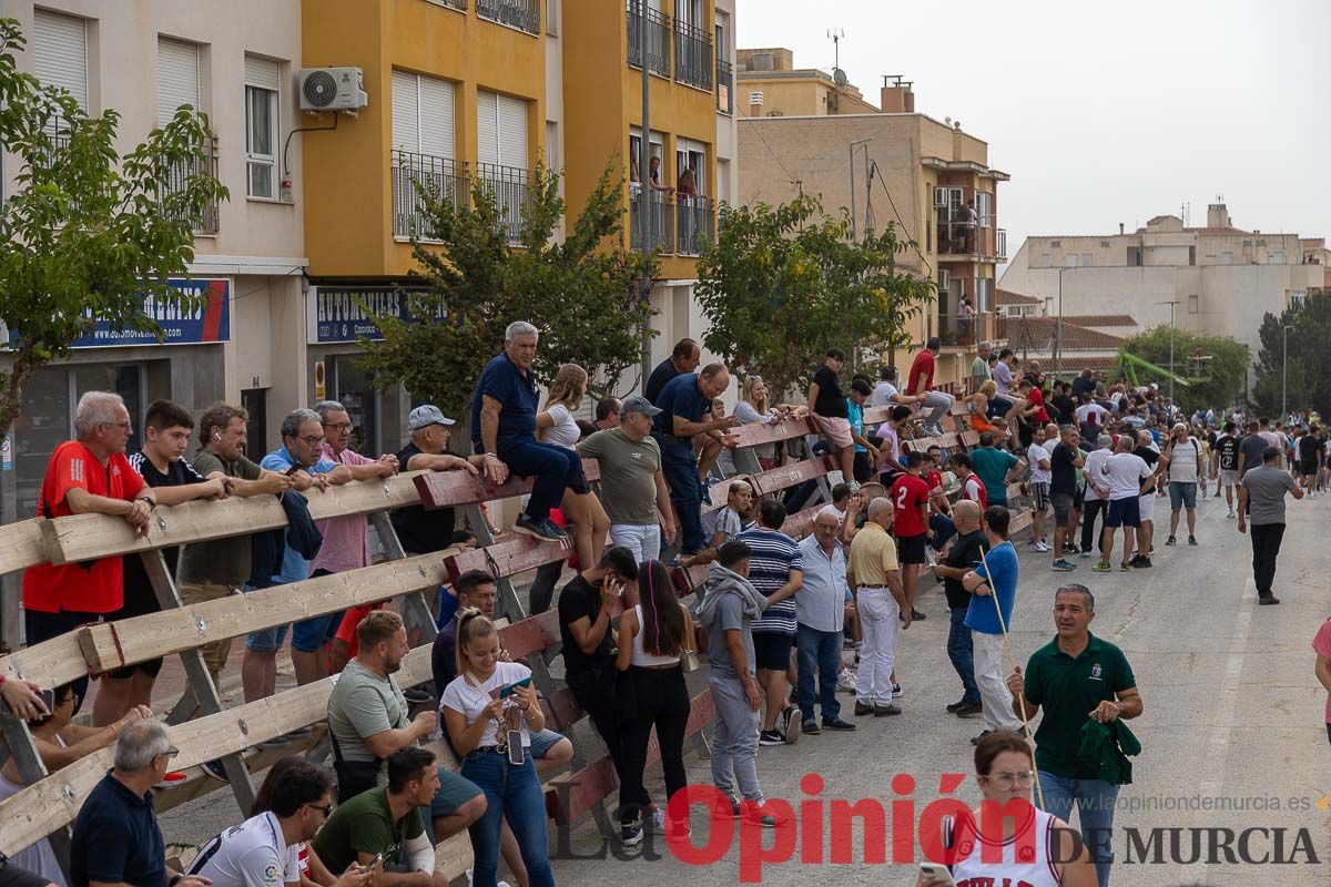 Primer encierro de la Feria Taurina del Arroz en Calasparra