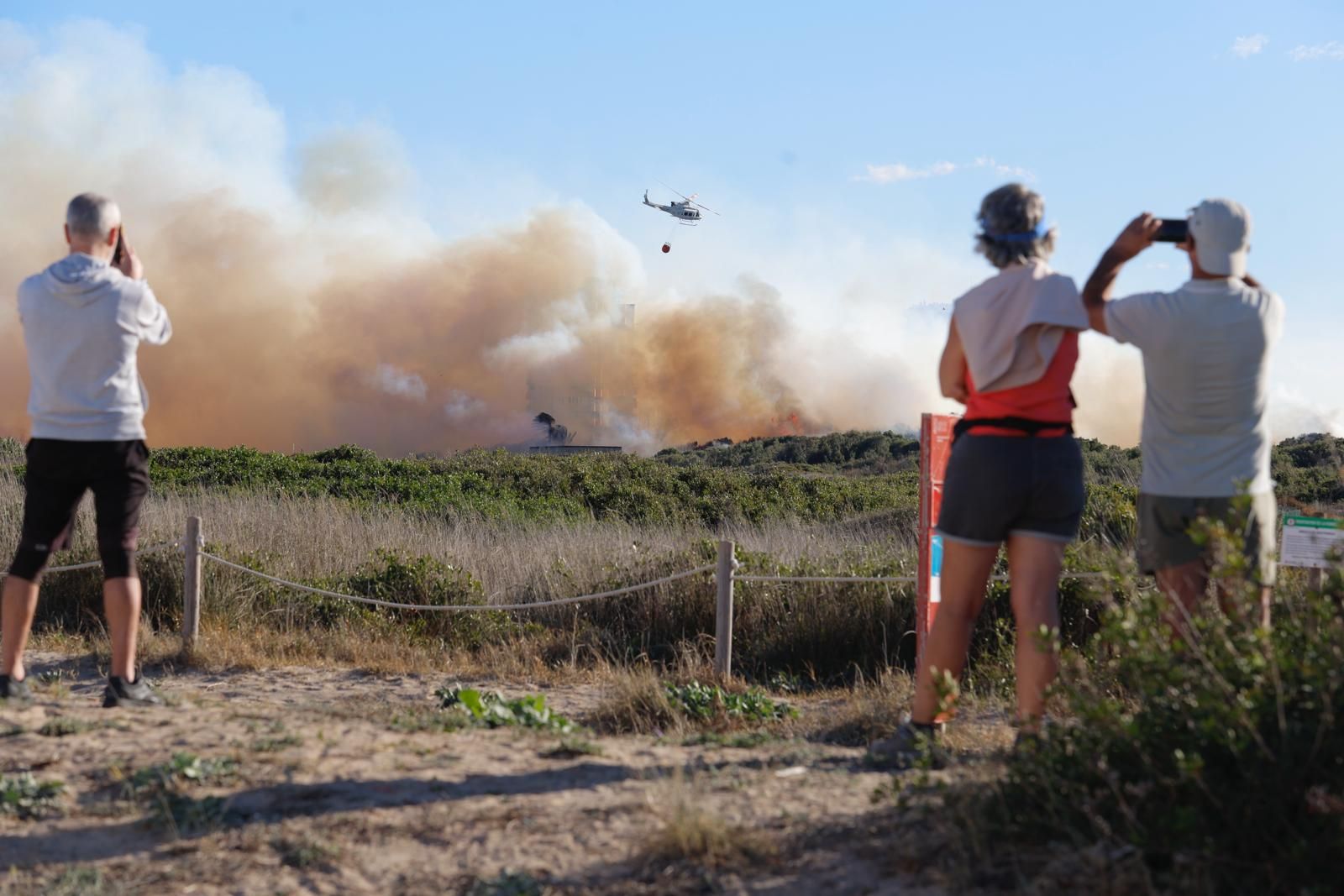 Declarado un incendio en el Saler