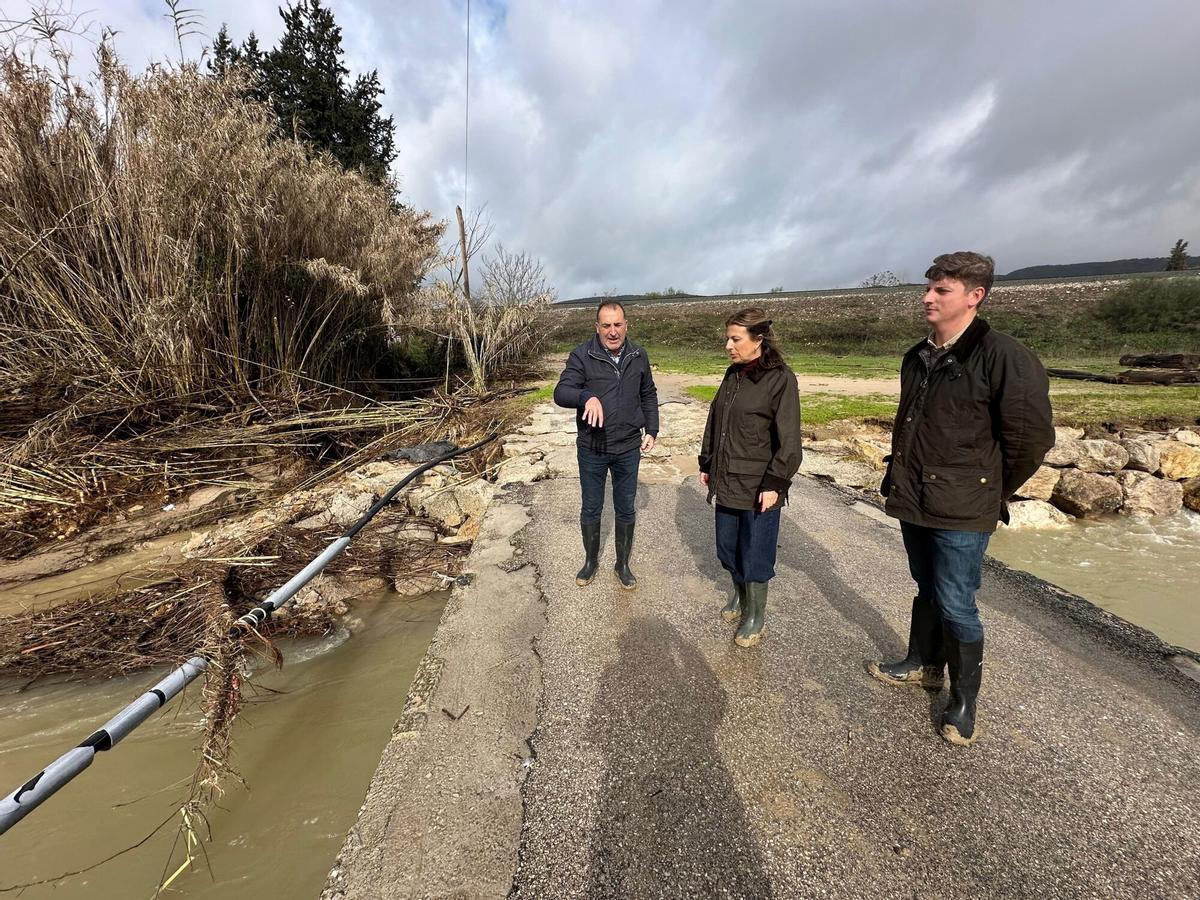El Ayuntamiento de Ronda cuantifica daños por el temporal en más de un millón de euros.