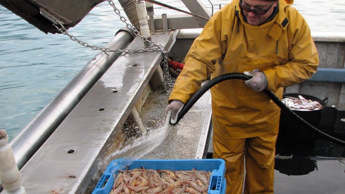 Un pescador de Sant Carles con langostinos