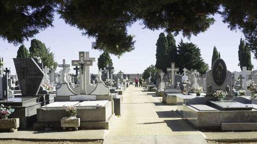Imagen de uno de los paseos recién urbanizados en el cementerio municipal de Benavente.