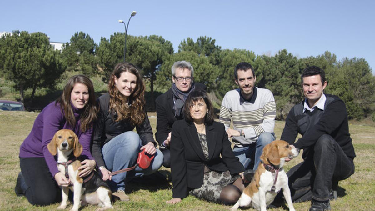 Perros con diabetes curados con terapia génica, con el equipo de la UAB.