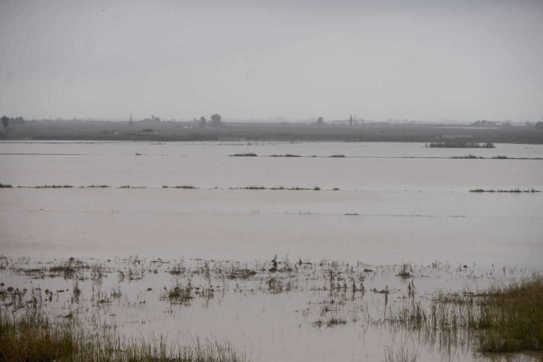 Vista de l'Albufera y los campos de arroz inundados.