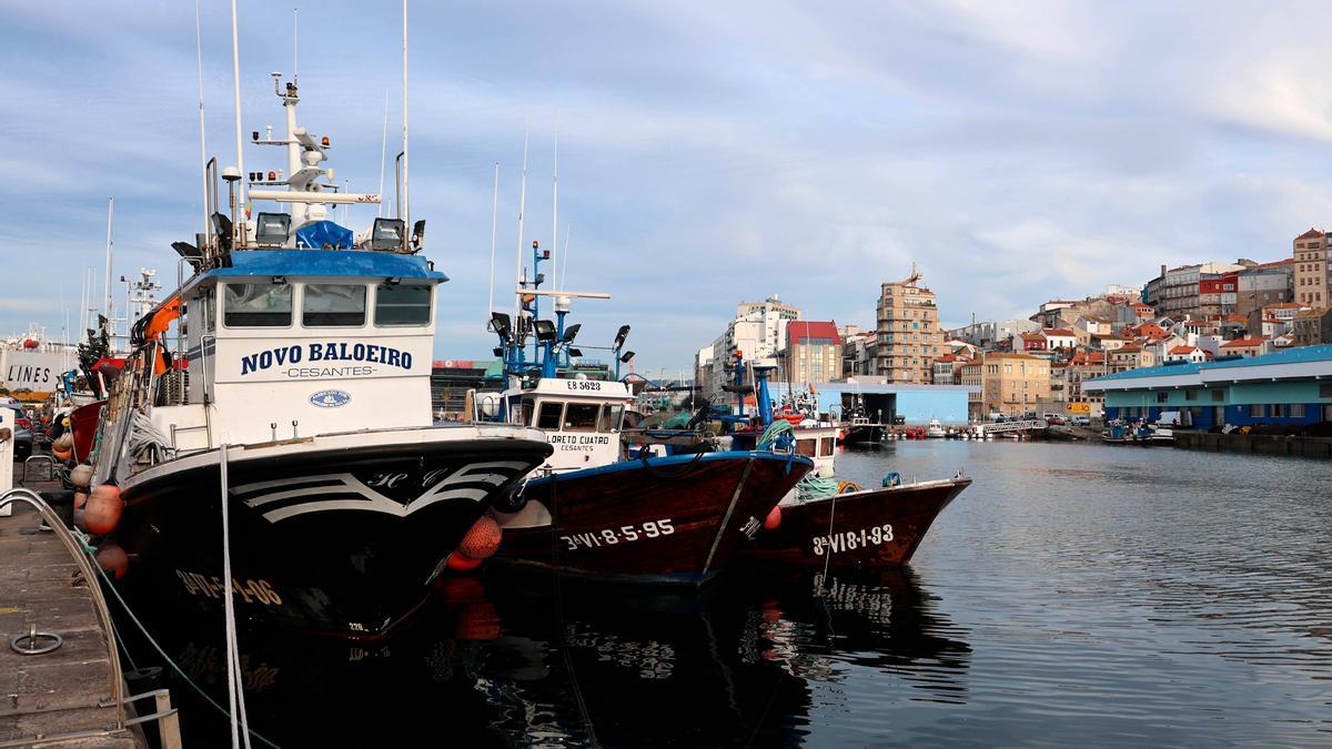 Barcos amarrados en el puerto de O Berbés (Vigo).