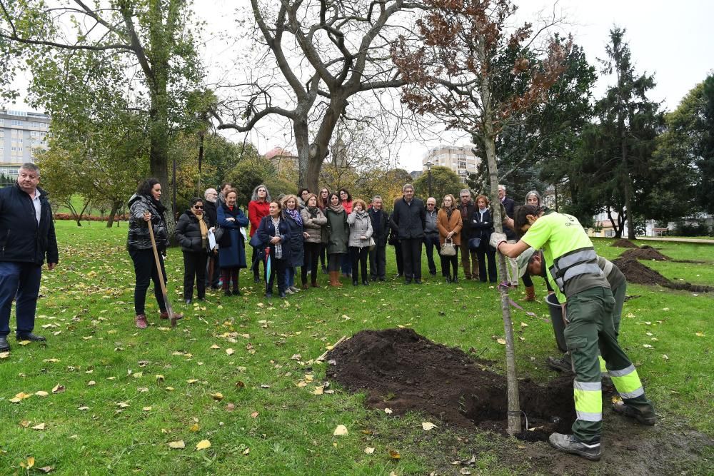 Las entidades que conforman la Plataforma Coruñesa de Voluntariado constan con un árbol que recuerda su labor a favor de la inclusión que realizan.