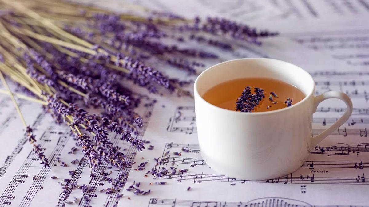 Una taza de infusión de lavanda