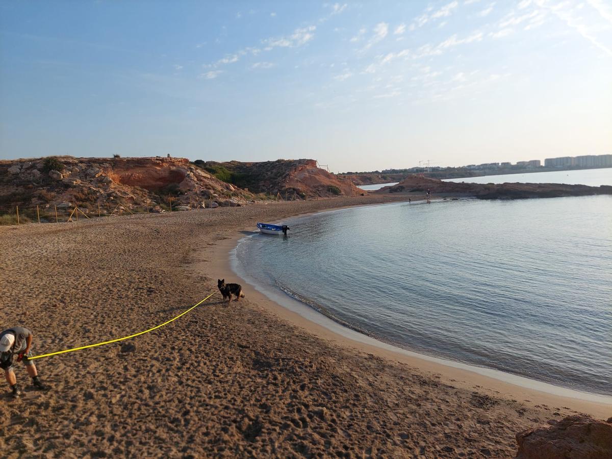 Patera en la playa canina a primera hora de la mañana