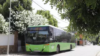 El PSOE de Córdoba reclama la parada del autobús en el Parque Joyero