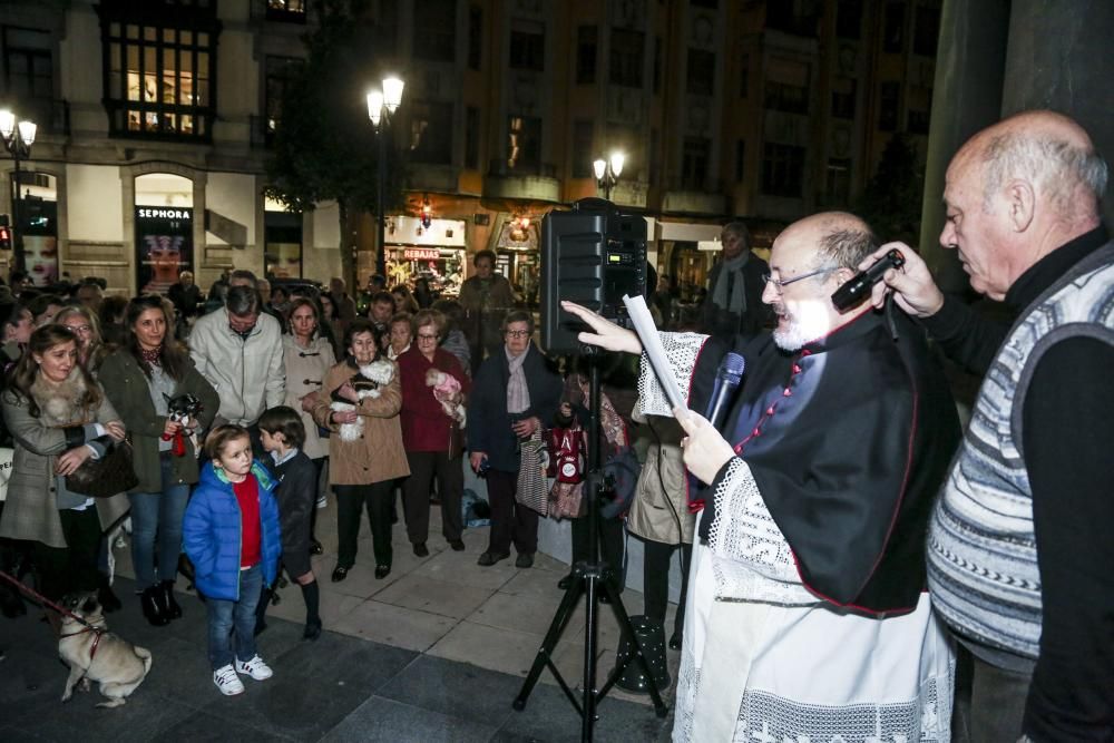 Oviedo bautiza a sus perros por el día de San Antón
