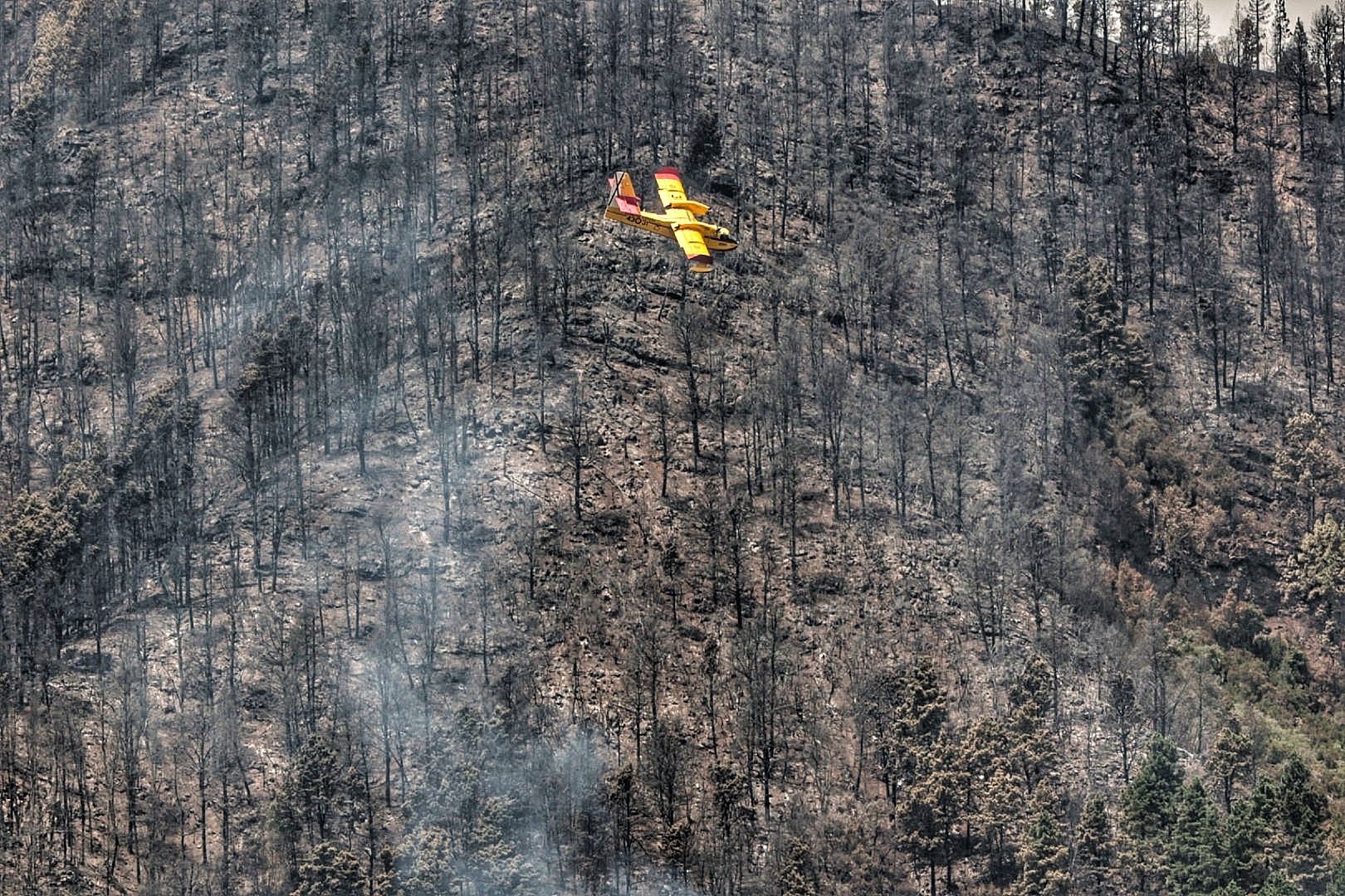 Labores de extinción del incendio en Tigaiga, Tenerife (26/07/2022)