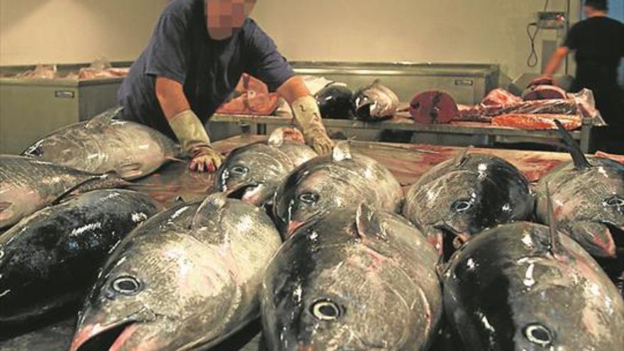 Salud Pública investiga la venta de un atún que causa intoxicaciones