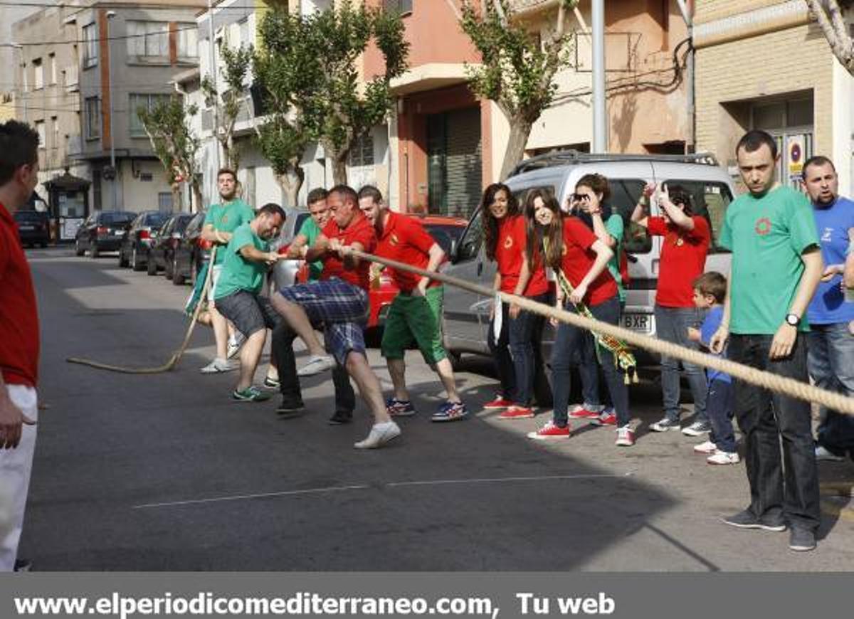 GALERÍA DE FOTOS - Fiestas de San Pascual concurso de tiro de cuerda