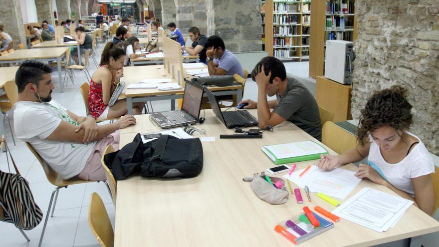 Alumnos universitarios estudiando en la biblioteca