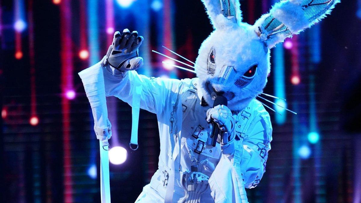 The masked singer