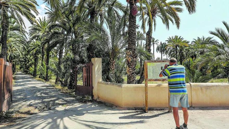 El Ayuntamiento de Elche logrará a través de expropiaciones el control del 81% de los huertos históricos