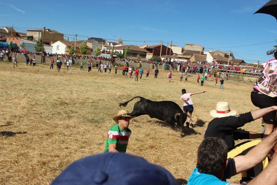 Espantes en Guarrate (II)