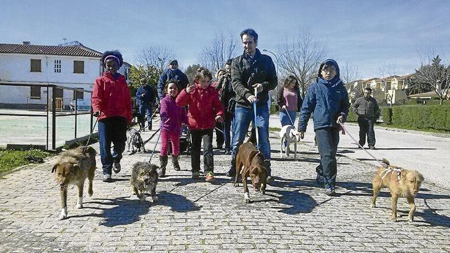 La protectora de Trujillo organiza un maratón en el que también podrán correr perros