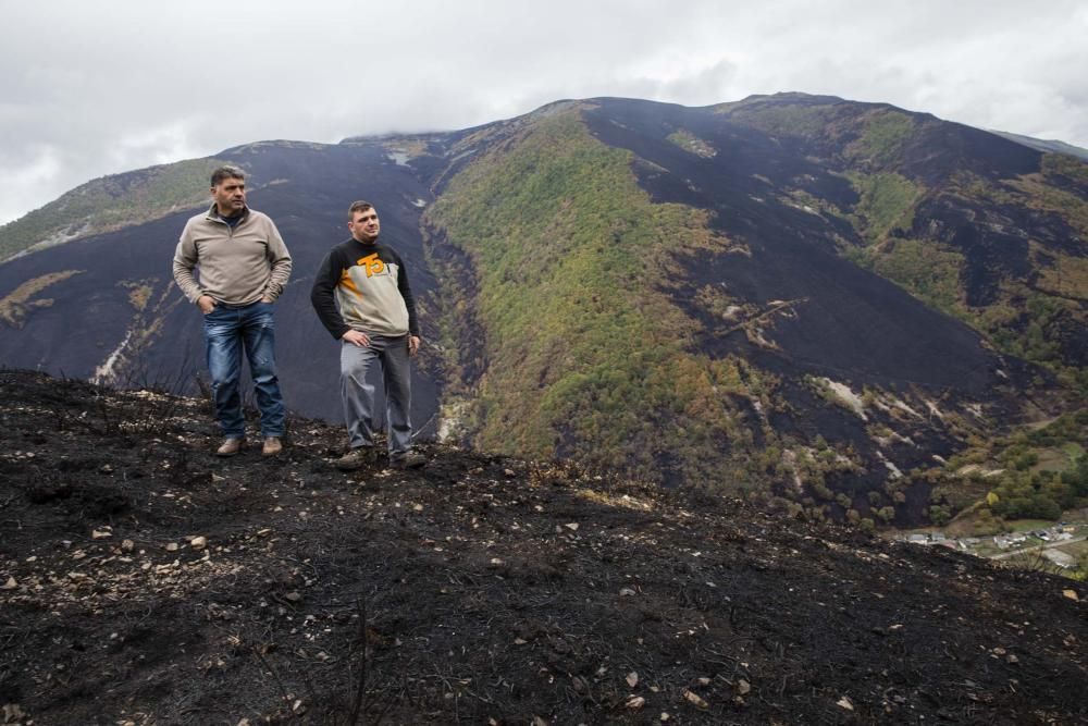 Desolación en el suroccidente asturiano tras los incendios