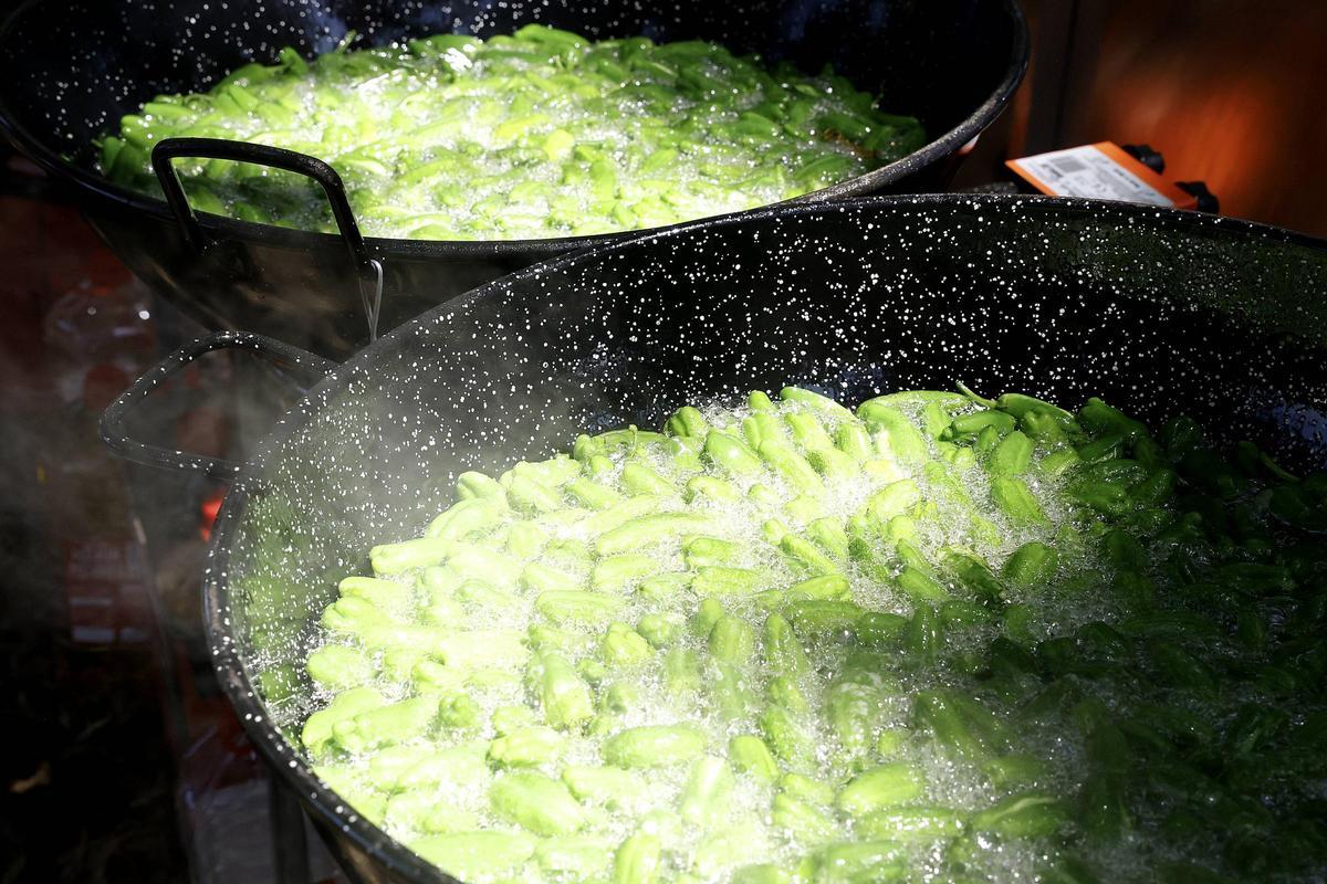 Padrón se rinde al pimiento de Herbón: 3.000 raciones para una fiesta multitudinaria Padrón se rinde al pimiento de Herbón: 3.000 raciones para una fiesta multitudinaria