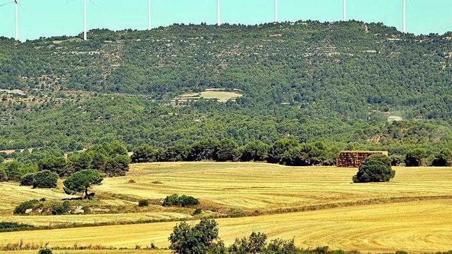 Imatge del terreny on es preveu construir un parc solar de 90 hectàrees a Castellfollit del Boix