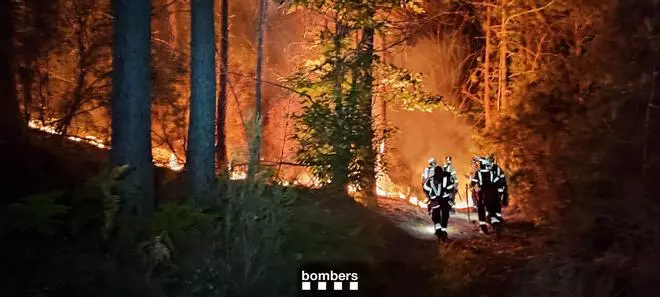 Les imatges de l'incendi forestal entre Amer i Susqueda