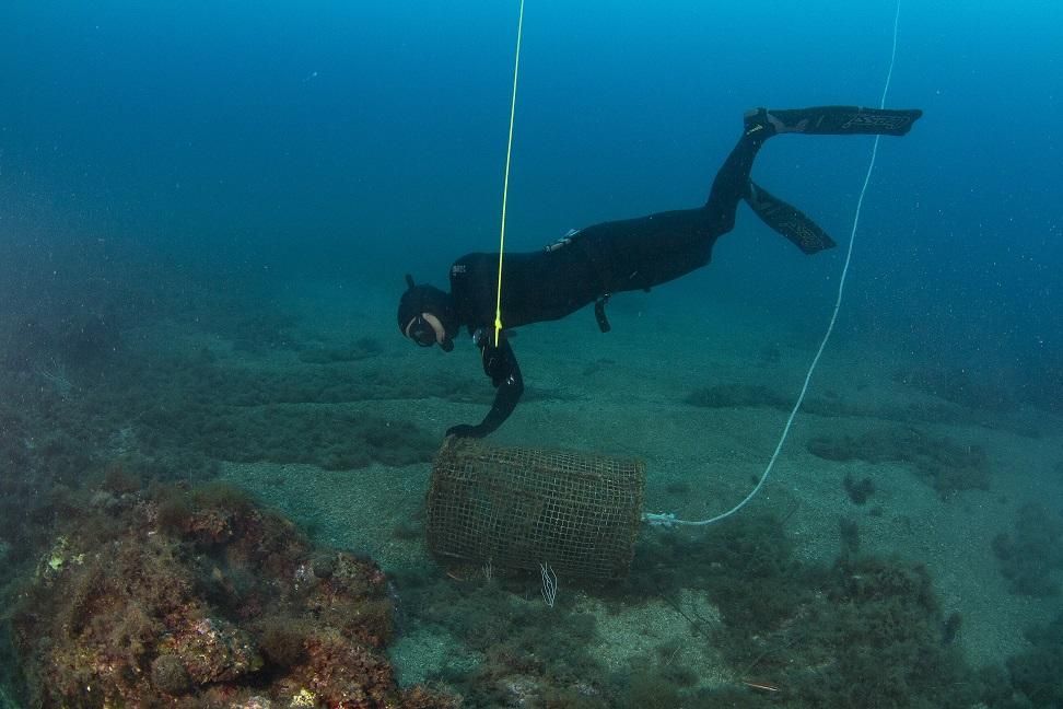 Retirada estris de pesca el Port de la Selva