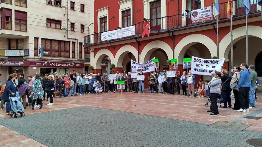 Protestas ante los ayuntamientos de Mieres y Langreo por las denuncias de presunto maltrato en los albergues caninos