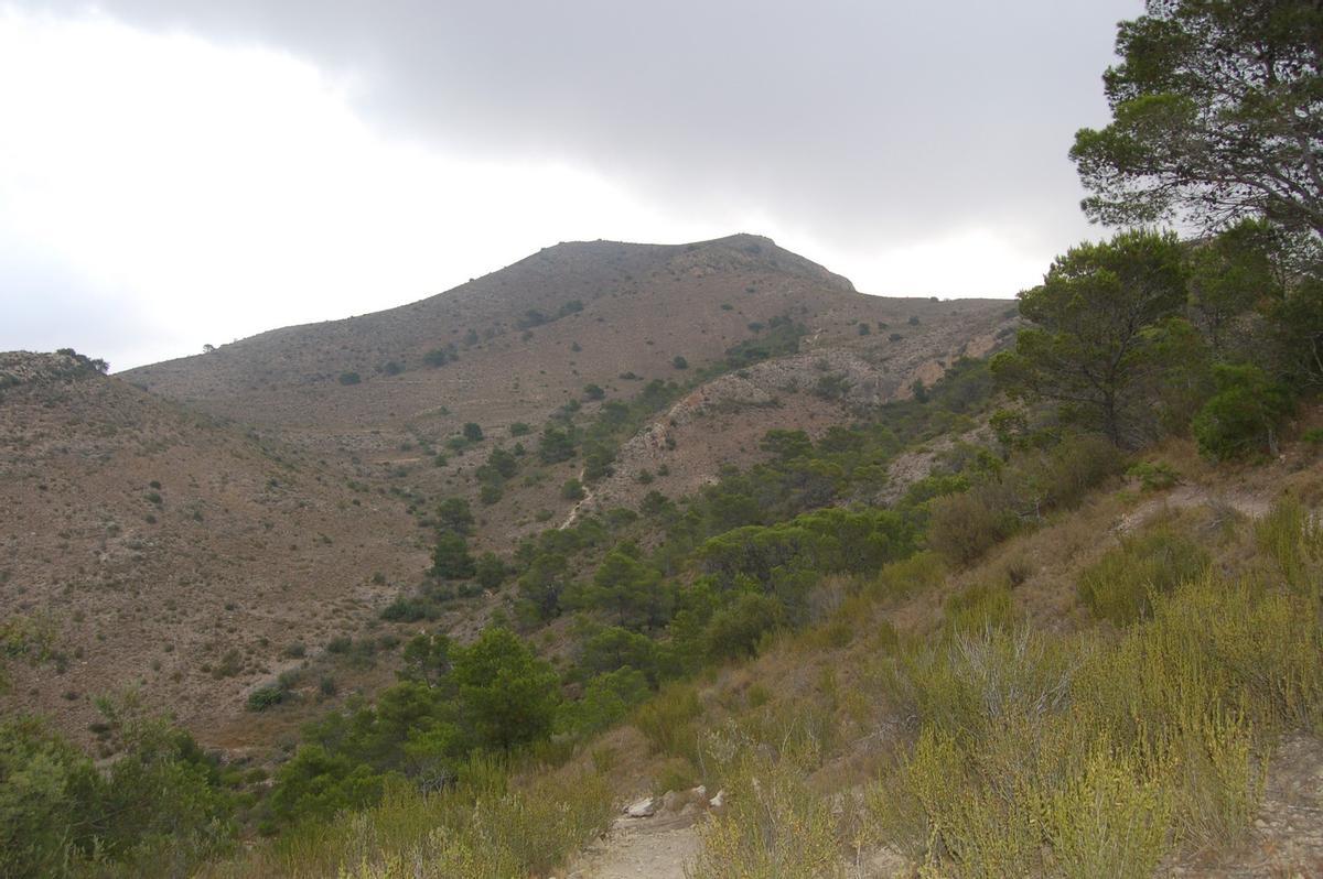Sierra de las Àguilas y San Pascual, en término municipal de Monforte del Cid