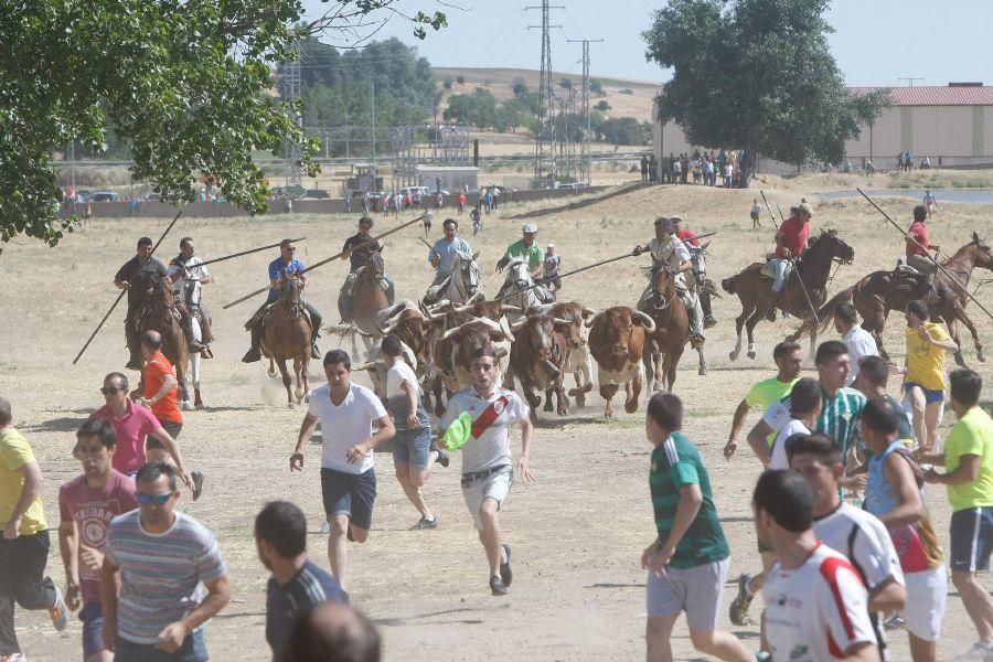 Fiestas en Zamora: Segudos espantes de Fuentesaúco