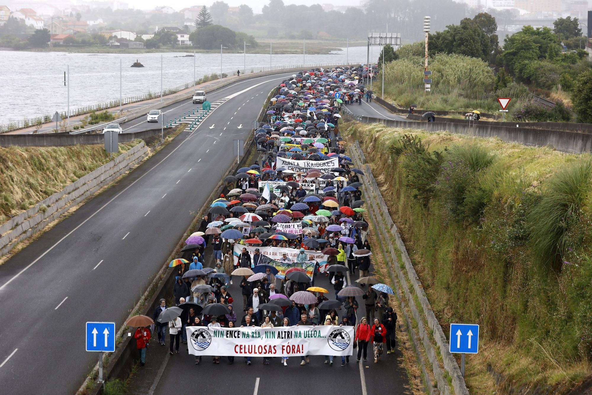 Manifestación contra Ence y Altri en Pontevedra