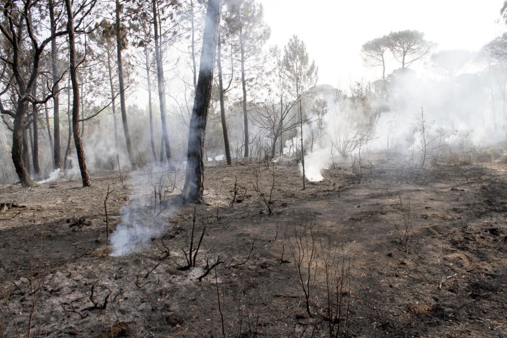 L'endemà de l'incendi de Santa Coloma de Farners