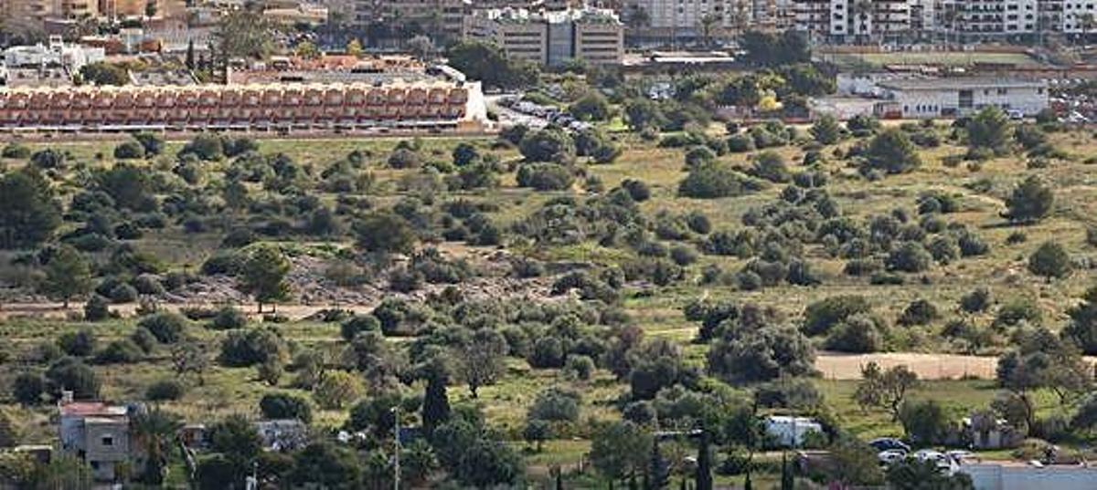 Vista parcial de los terrenos de Ca n'Escandell donde se prevé un parque y viviendas de protección oficial.