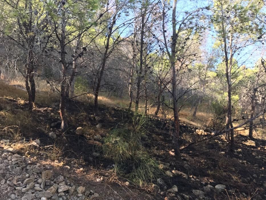 Pequeño incendio forestal en la Serra Grossa