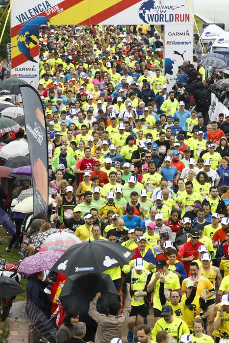 Búscate en la carrera Wings for life en Valencia